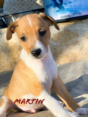 MARTIN