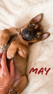 MAY