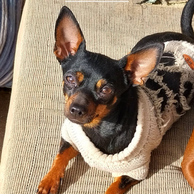 NALA NALA