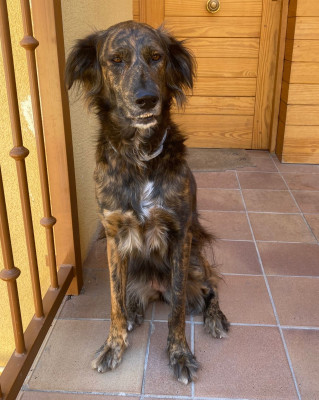 BRYN