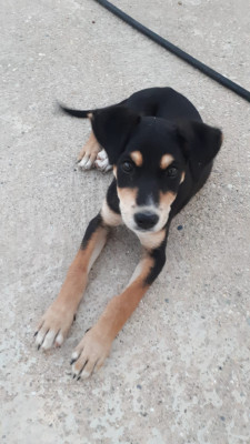 ABY