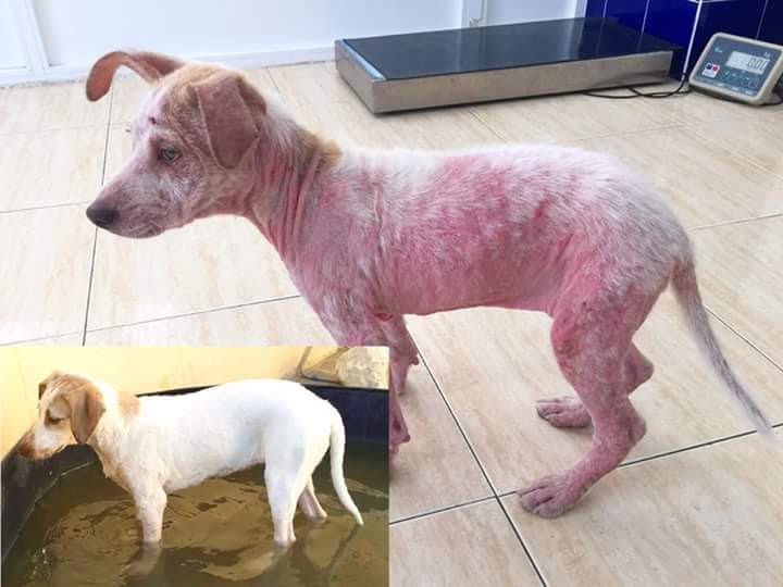 Nora antes y después