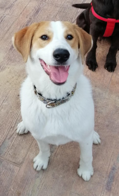 MAX MAX