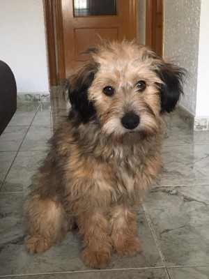 Chloe